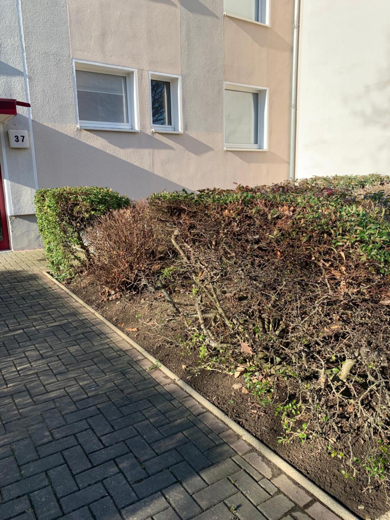 Mycha Ferienwohnung Goslar Luaran gambar